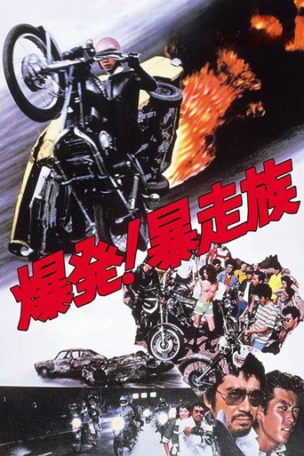 Póster de Detonation: Violent Riders