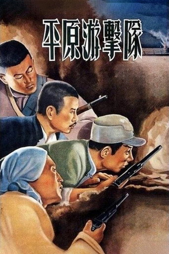 Póster de 平原游击队