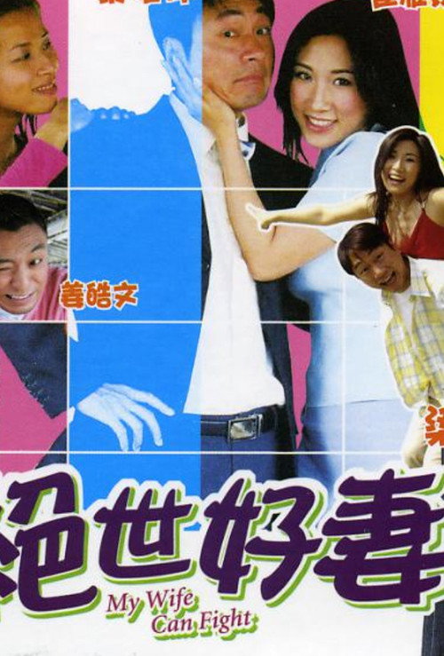 Póster de 絕世好妻