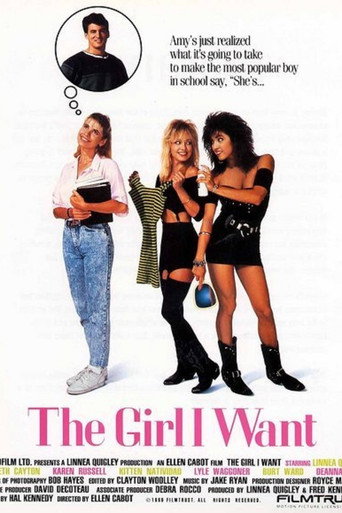 Póster de The Girl I Want