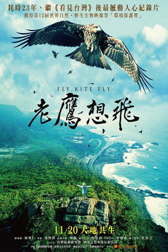 Póster de 老鷹想飛