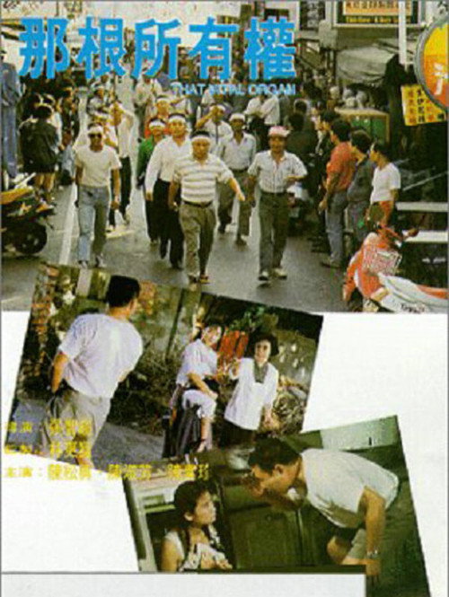 Póster de 那根所有權