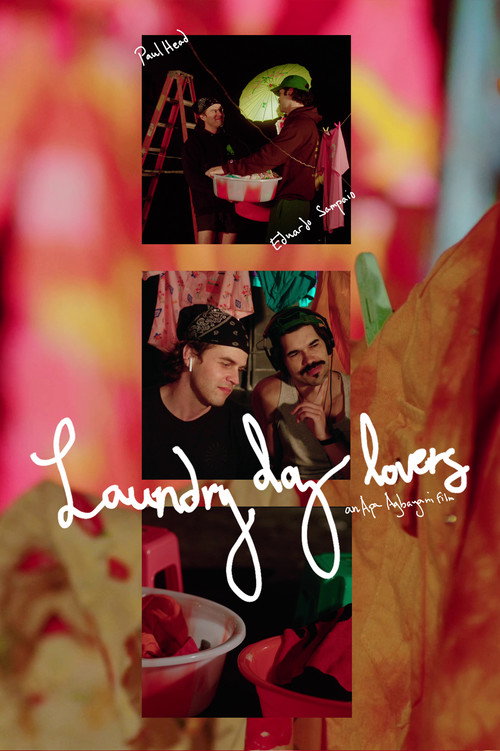 Póster de Laundry day lovers
