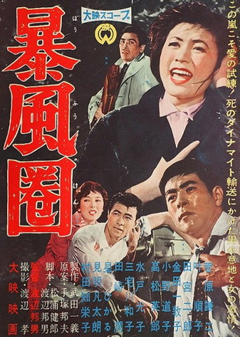 Póster de 暴風圏