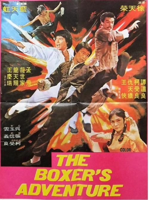 Póster de 神拳霸腿追魂手