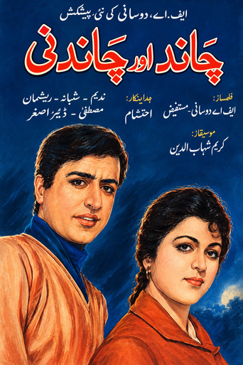 Póster de Chand Aur Chandni