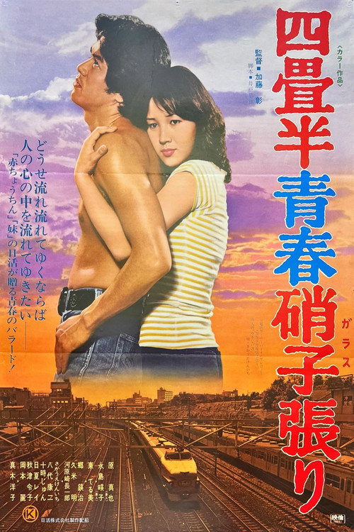 Póster de 四畳半青春硝子張り