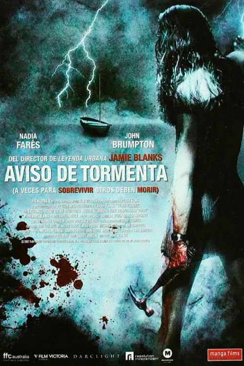 Póster de Storm Warning