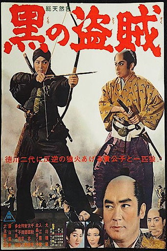 Póster de 黒の盗賊