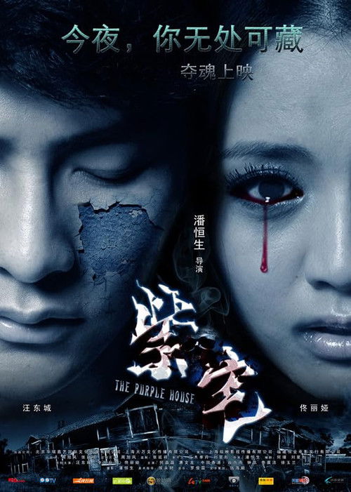 Póster de 紫宅