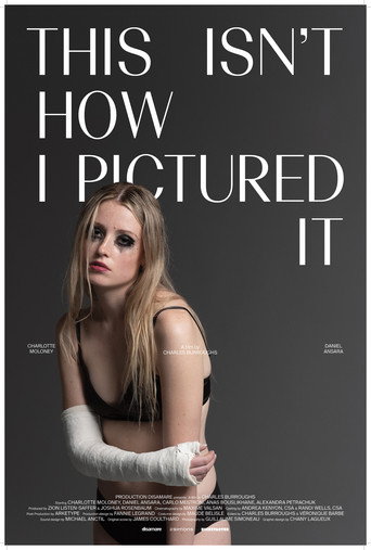 Póster de This Isn't How I Pictured It