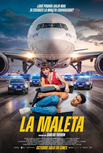 Póster de La maleta