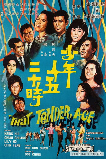 Póster de 少年十五二十時