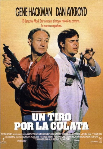 Póster de Loose Cannons