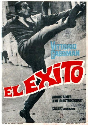 Póster de Il successo