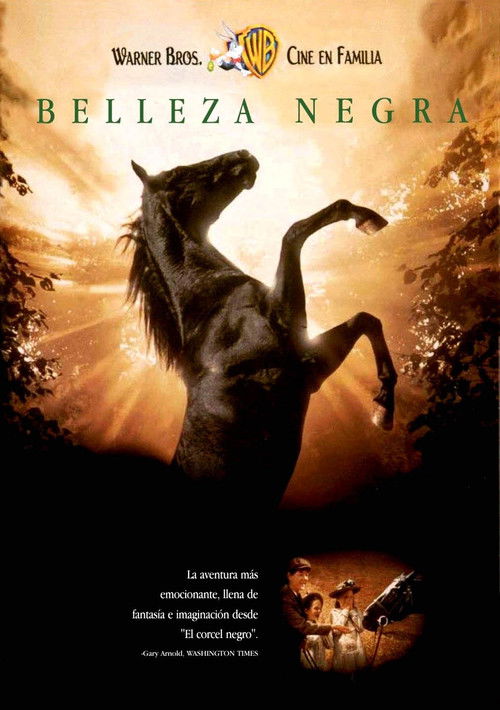 Póster de Belleza Negra