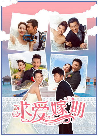 Póster de 求爱嫁期