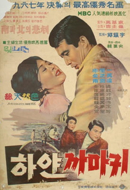Póster de 하얀 까마귀