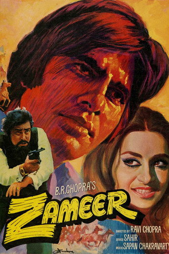 Póster de Zameer