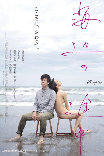 Póster de 海辺の途中