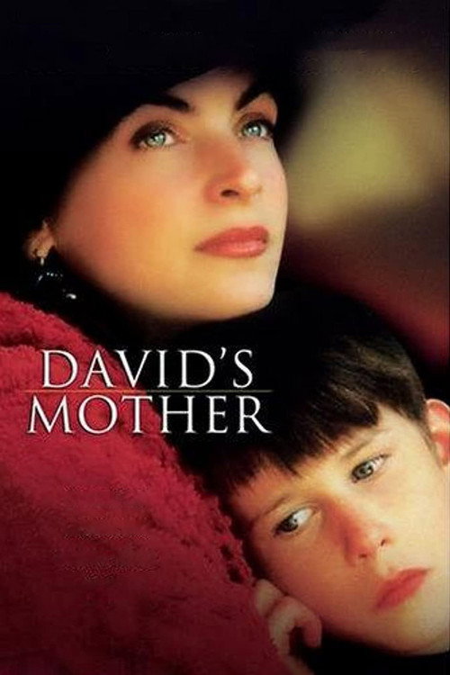 Póster de David's Mother