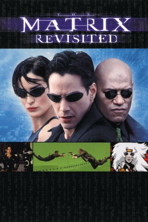 Póster de The Matrix Revisited