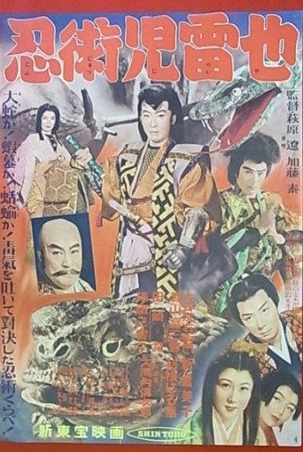 Póster de Ninja Arts of Jiraiya