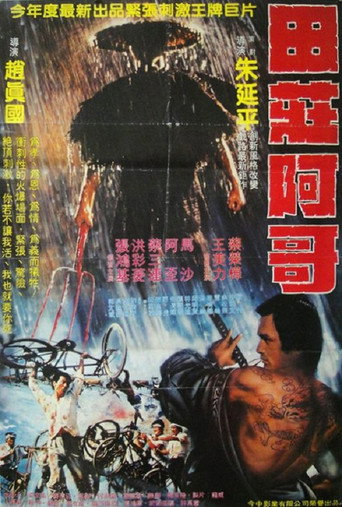 Póster de 田莊阿哥