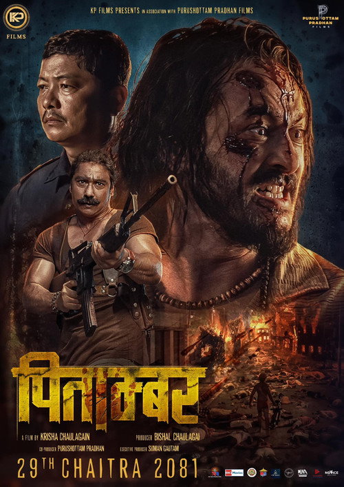 Póster de Pitambar