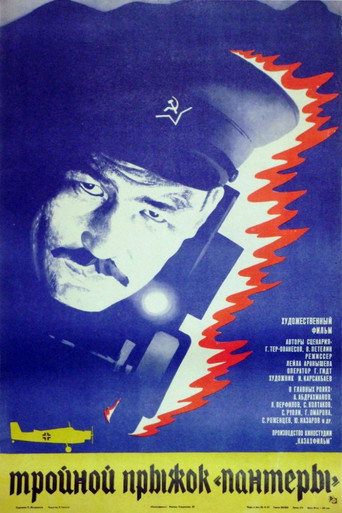Póster de Тройной прыжок «Пантеры»