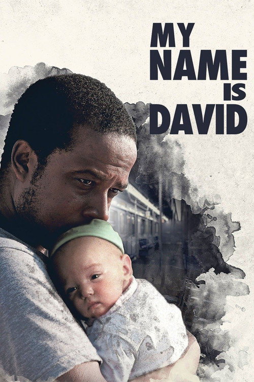 Póster de My Name Is David
