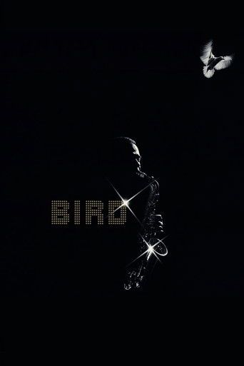 Póster de Bird