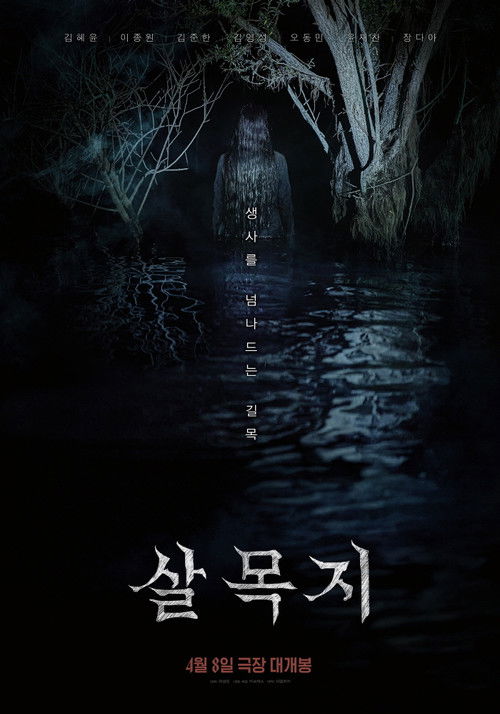 Póster de 살목지
