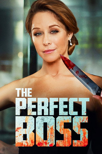 Póster de The Perfect Boss