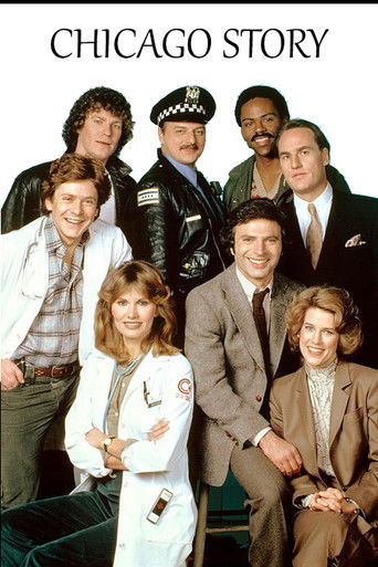 Póster de Chicago Story