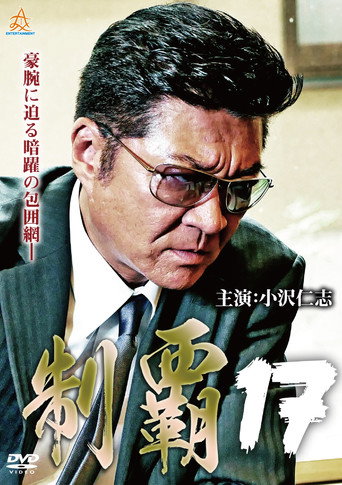 Póster de 制覇１７