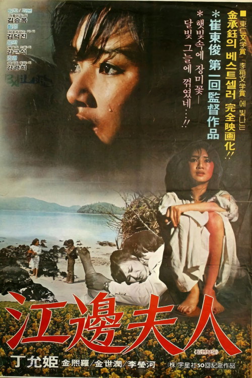 Póster de 강변부인