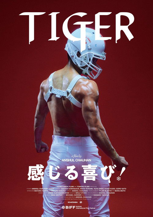 Póster de Tiger