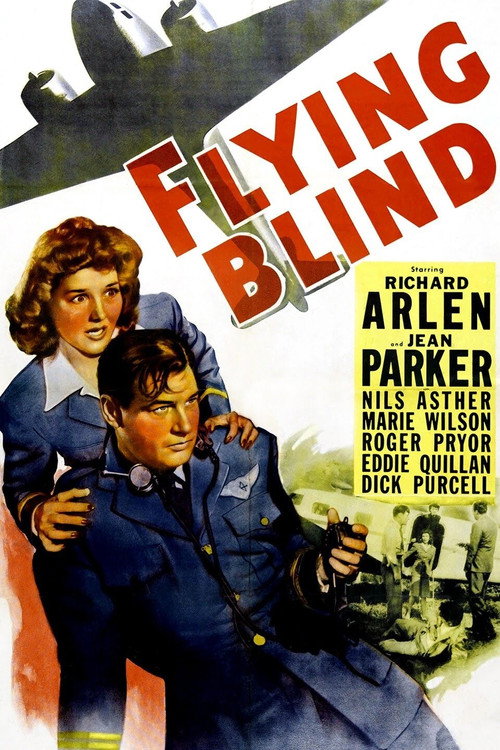 Póster de Flying Blind