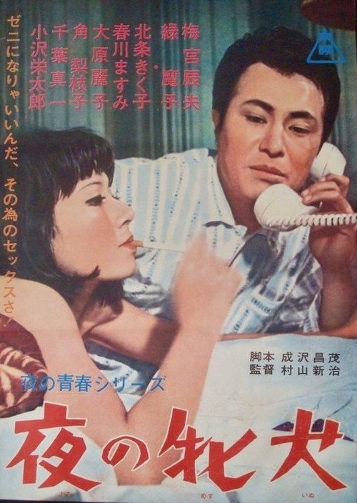 Póster de 夜の牝犬