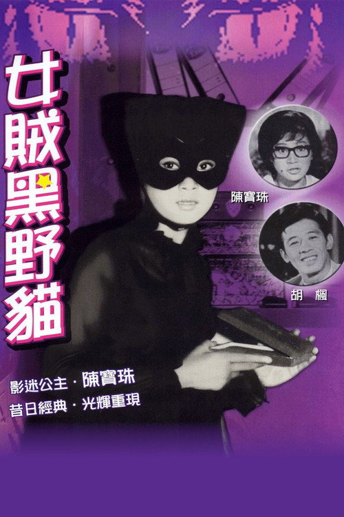 Póster de 女賊黑野貓