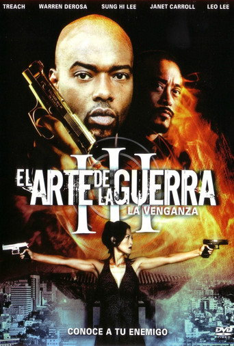 Póster de El arte de matar 3: La venganza