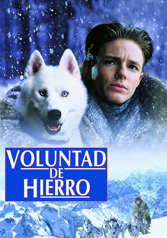 Póster de Voluntad de hierro