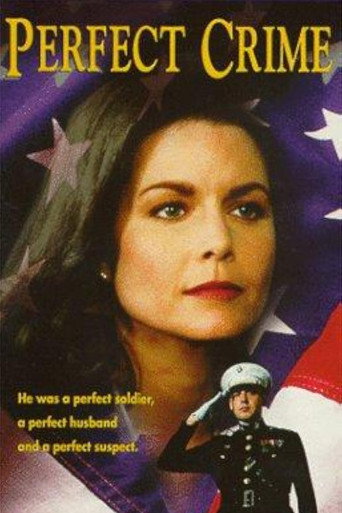 Póster de Perfect Crime