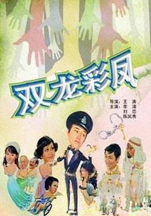 Póster de 光棍神偷雙彩鳳