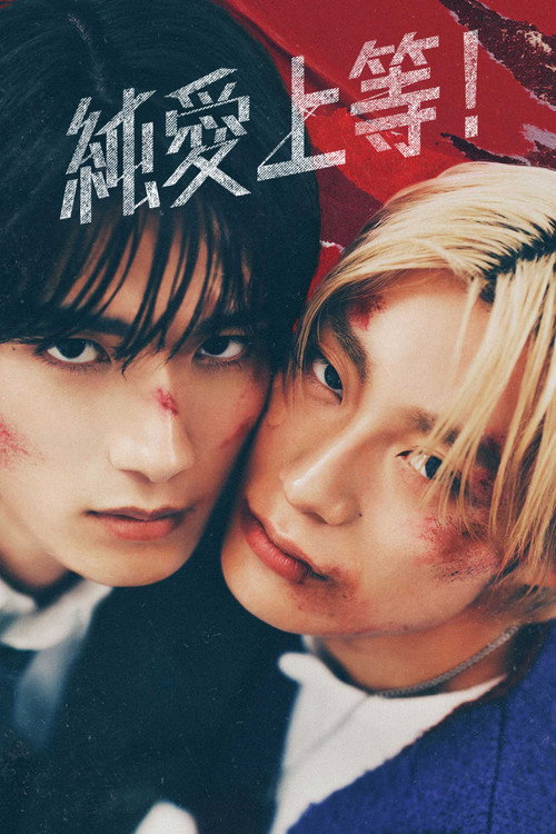 Póster de 純愛上等！