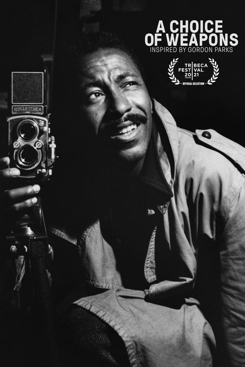 Póster de Una Elección De Armas: Inspirados Por Gordon Parks