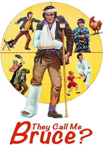 Póster de They Call Me Bruce?