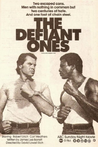 Póster de The Defiant Ones
