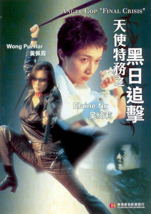 Póster de 天使特務之黑日追擊
